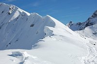 Corno Stella proibito! Salita al Montebello di Foppolo e non oltre dom. 8 marzo 09  - FOTOGALLERY